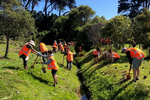 People wearing high-vis orange jackets standing on either side of a creek, planting shrubs.