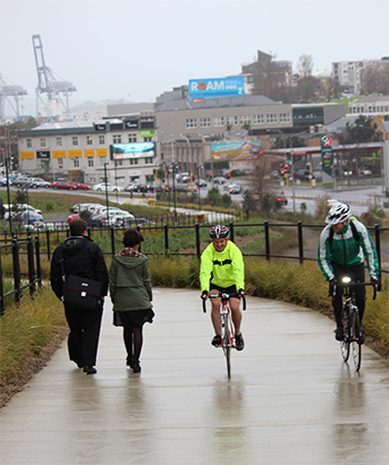 Cyclists and pedestrians on the lower section of the new Grafton Gully Cycleway.